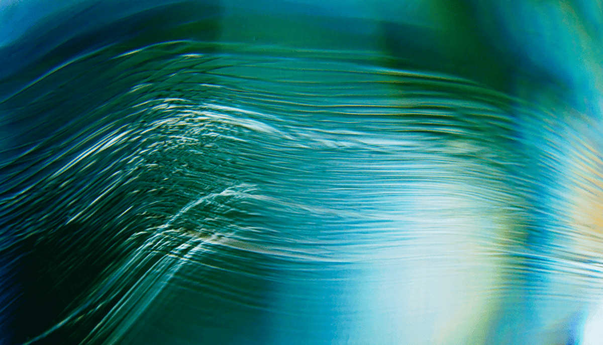 Technology gets SAASY